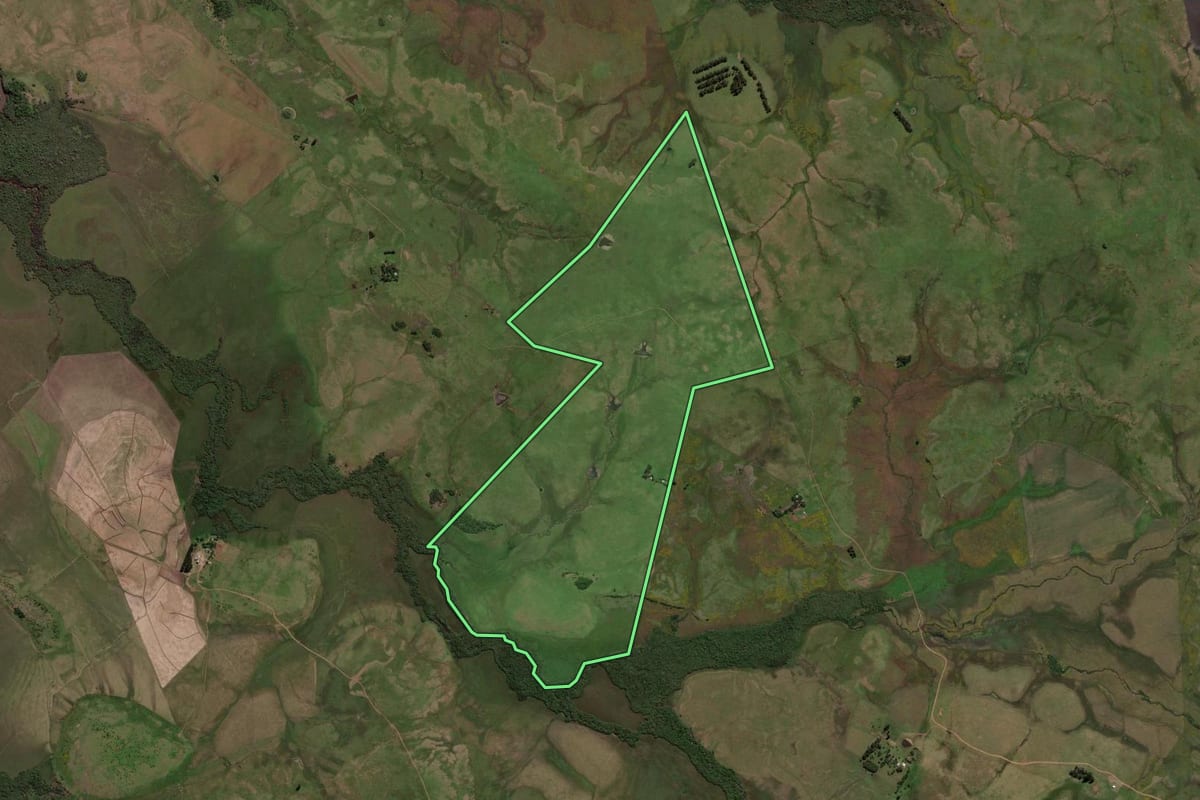 Imagem de satélite do imóvel rural em Alegrete (RS), com o contorno declarado no CAR desenhado por cima.