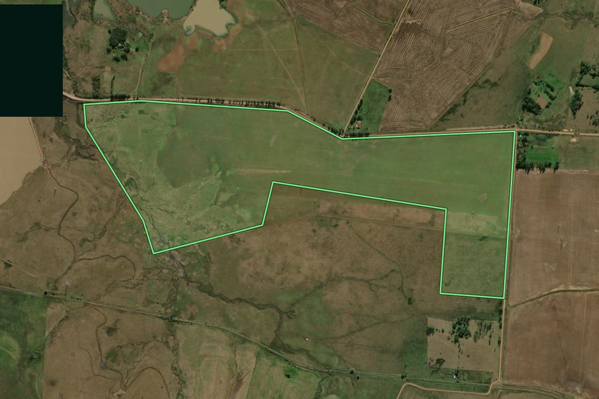 Imagem de satélite do imóvel rural em Alegrete (RS), com o contorno declarado no CAR desenhado por cima.