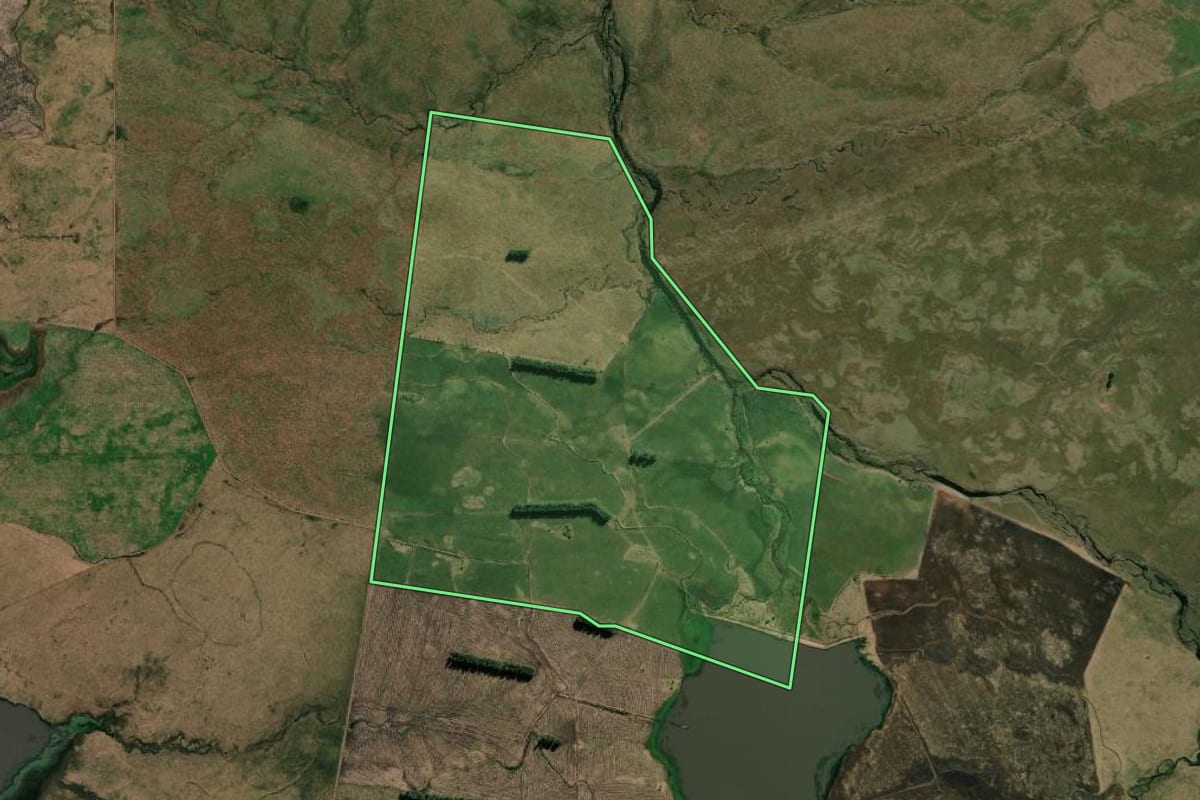 Imagem de satélite do imóvel rural em Alegrete (RS), com o contorno declarado no CAR desenhado por cima.