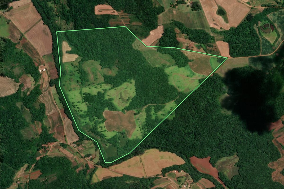 Imagem de satélite do imóvel rural em Alegria (RS), com o contorno declarado no CAR desenhado por cima.