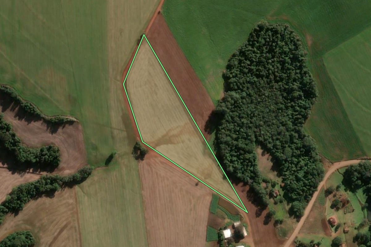 Imagem de satélite do imóvel rural em Alegria (RS), com o contorno declarado no CAR desenhado por cima.