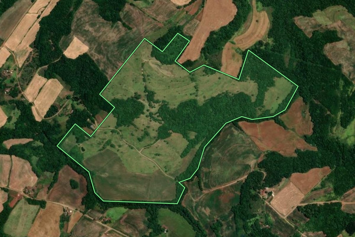 Imagem de satélite do imóvel rural em Alegria (RS), com o contorno declarado no CAR desenhado por cima.