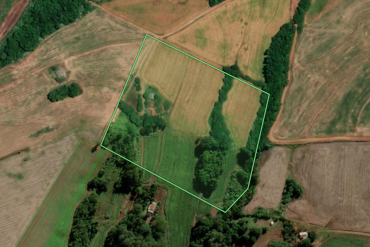 Imagem de satélite do imóvel rural em Alegria (RS), com o contorno declarado no CAR desenhado por cima.