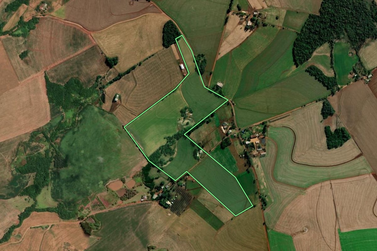 Imagem de satélite do imóvel rural em Alegria (RS), com o contorno declarado no CAR desenhado por cima.