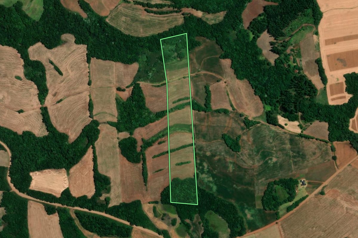Imagem de satélite do imóvel rural em Alegria (RS), com o contorno declarado no CAR desenhado por cima.