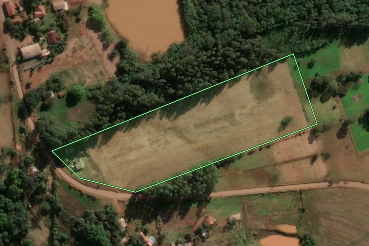 Imagem de satélite do imóvel rural em Alegria (RS), com o contorno declarado no CAR desenhado por cima.