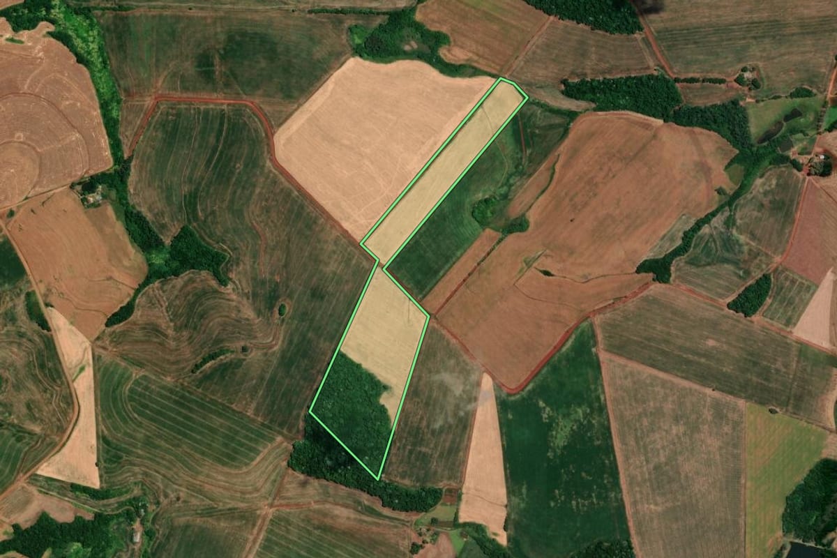 Imagem de satélite do imóvel rural em Alegria (RS), com o contorno declarado no CAR desenhado por cima.