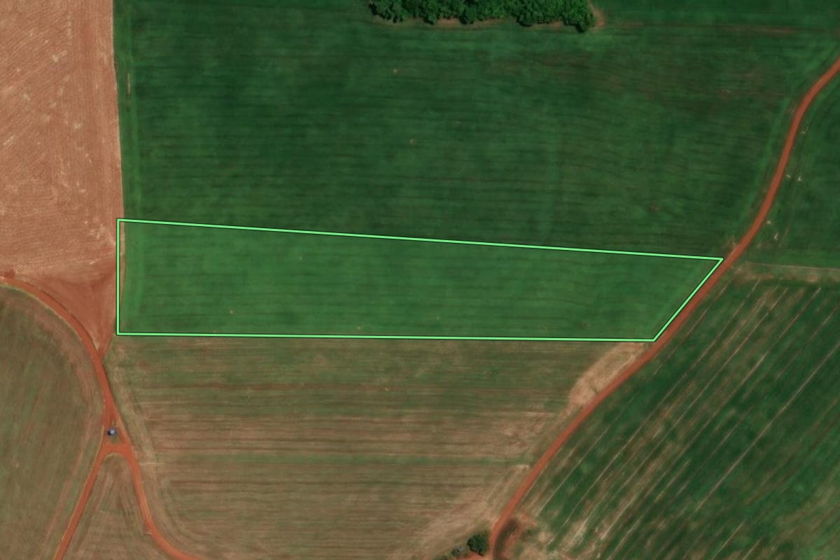 Imagem de satélite do imóvel rural em Alegria (RS), com o contorno declarado no CAR desenhado por cima.
