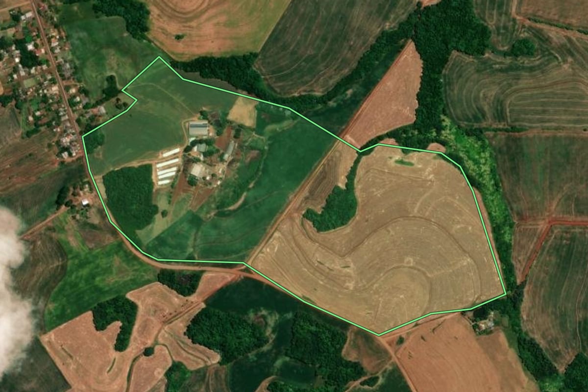 Imagem de satélite do imóvel rural em Alegria (RS), com o contorno declarado no CAR desenhado por cima.