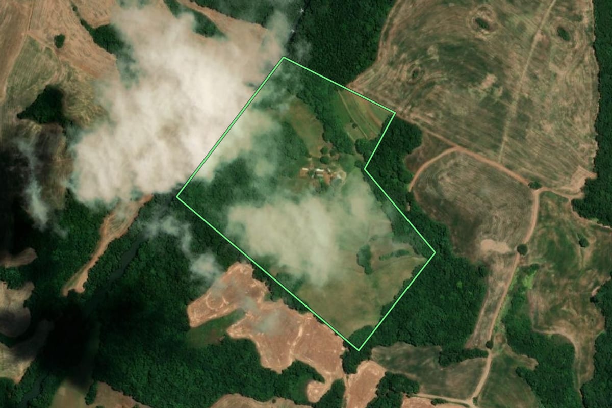 Imagem de satélite do imóvel rural em Alegria (RS), com o contorno declarado no CAR desenhado por cima.