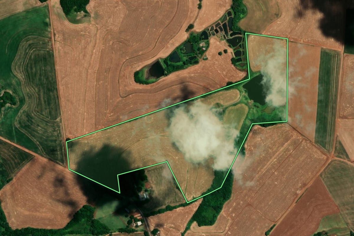 Imagem de satélite do imóvel rural em Alegria (RS), com o contorno declarado no CAR desenhado por cima.