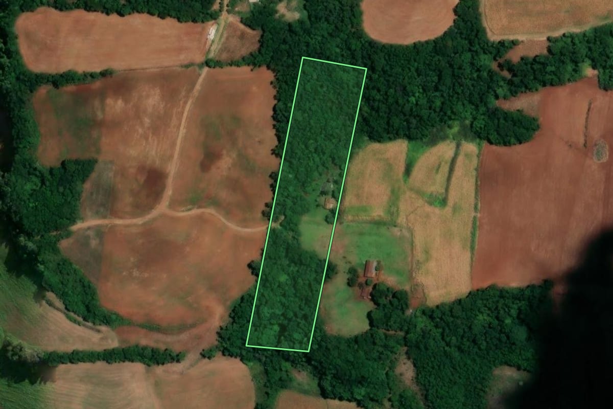 Imagem de satélite do imóvel rural em Alegria (RS), com o contorno declarado no CAR desenhado por cima.