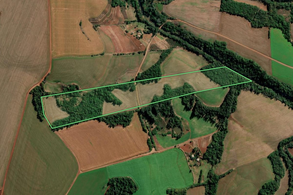 Imagem de satélite do imóvel rural em Alegria (RS), com o contorno declarado no CAR desenhado por cima.