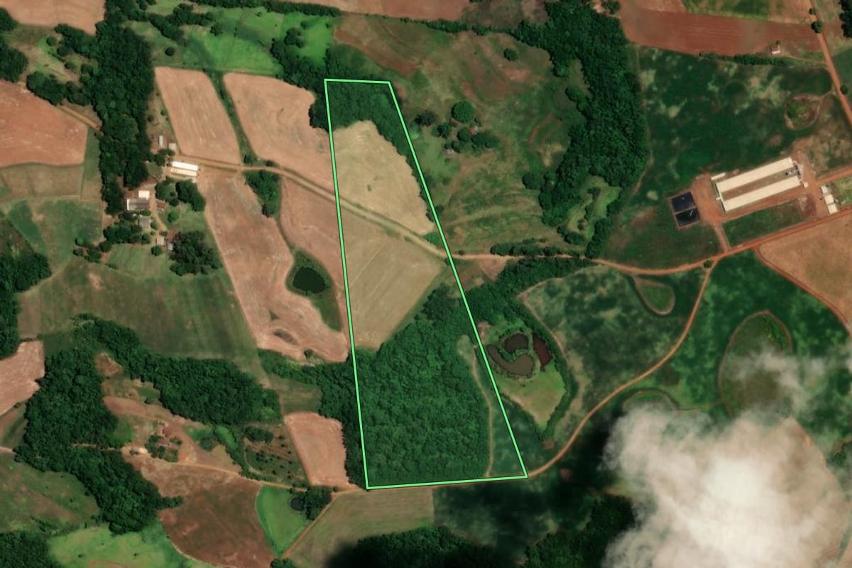 Imagem de satélite do imóvel rural em Alegria (RS), com o contorno declarado no CAR desenhado por cima.