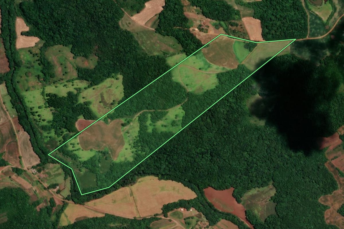 Imagem de satélite do imóvel rural em Alegria (RS), com o contorno declarado no CAR desenhado por cima.
