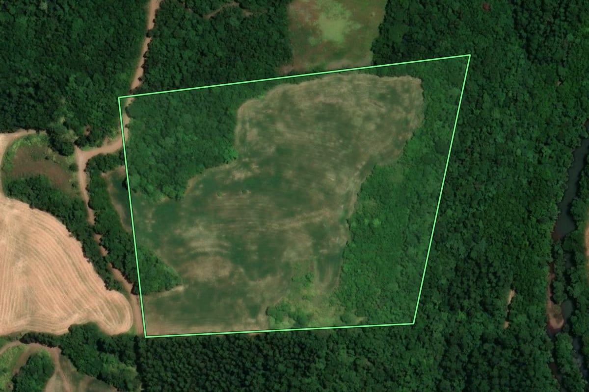 Imagem de satélite do imóvel rural em Alegria (RS), com o contorno declarado no CAR desenhado por cima.