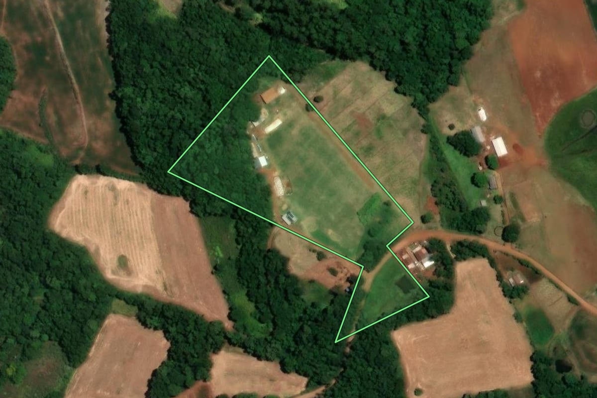 Imagem de satélite do imóvel rural em Alegria (RS), com o contorno declarado no CAR desenhado por cima.