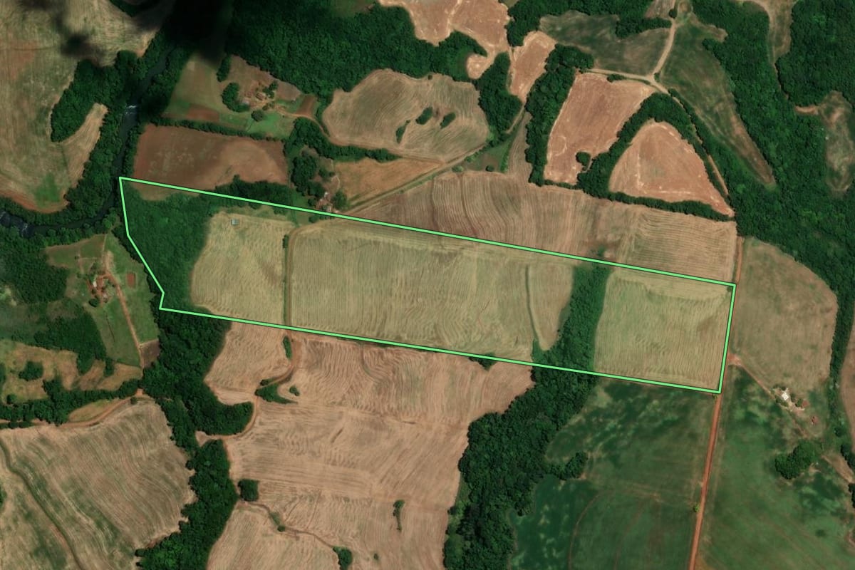 Imagem de satélite do imóvel rural em Alegria (RS), com o contorno declarado no CAR desenhado por cima.