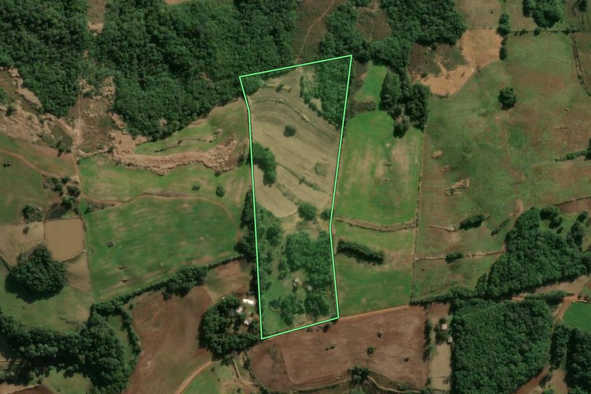 Imagem de satélite do imóvel rural em Alegria (RS), com o contorno declarado no CAR desenhado por cima.