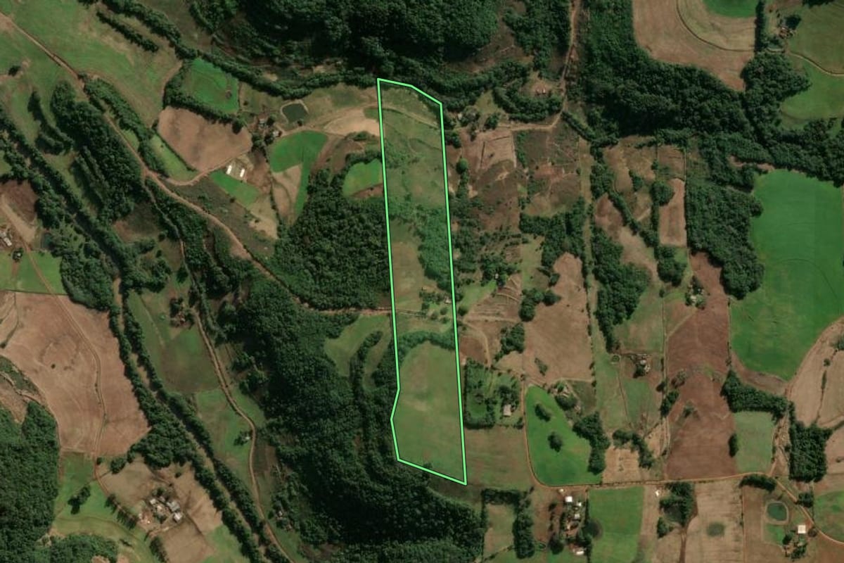 Imagem de satélite do imóvel rural em Alegria (RS), com o contorno declarado no CAR desenhado por cima.