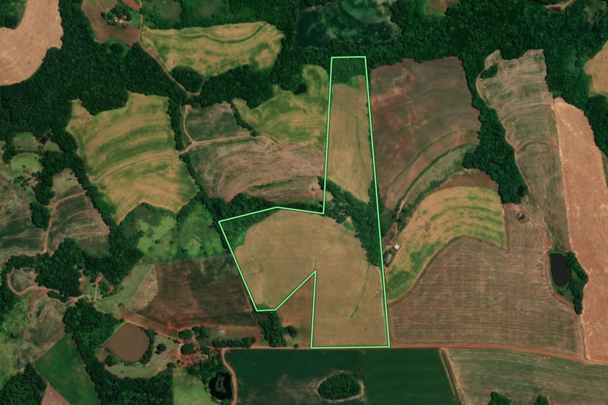 Imagem de satélite do imóvel rural em Alegria (RS), com o contorno declarado no CAR desenhado por cima.