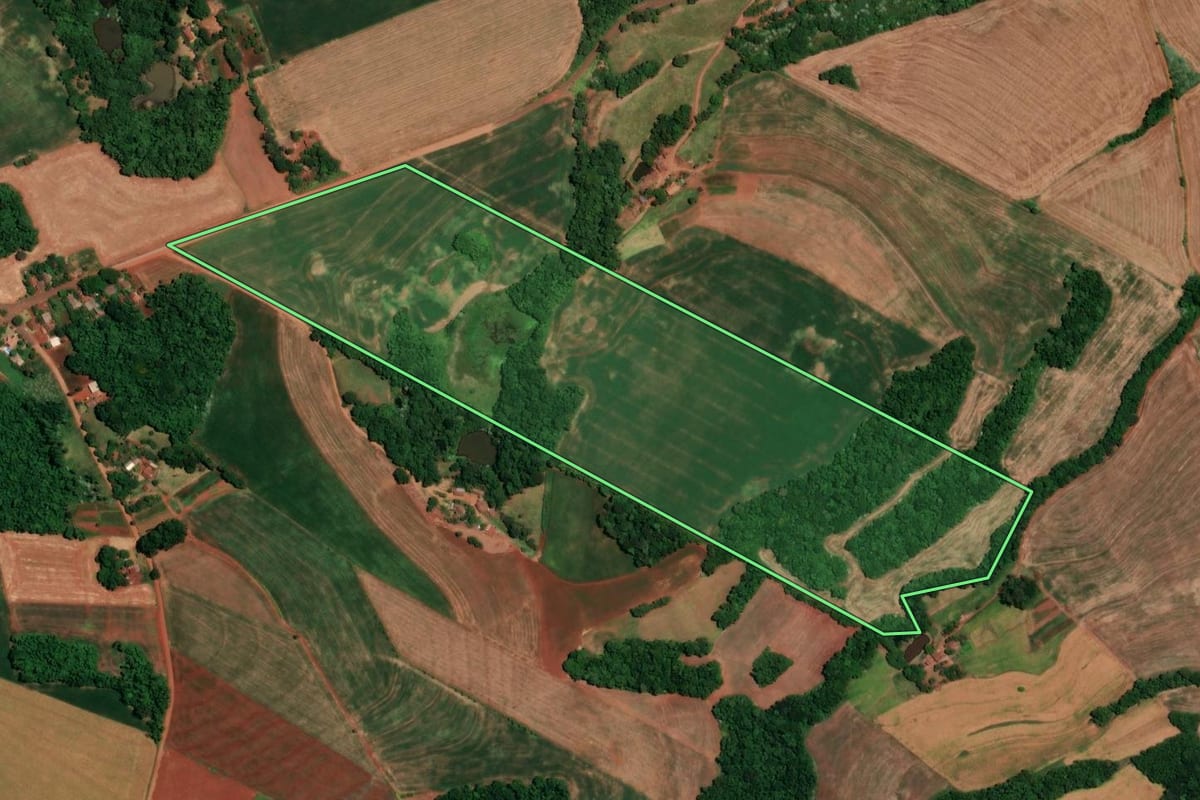 Imagem de satélite do imóvel rural em Alegria (RS), com o contorno declarado no CAR desenhado por cima.