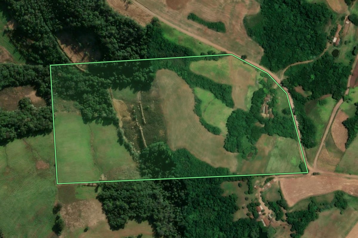 Imagem de satélite do imóvel rural em Alegria (RS), com o contorno declarado no CAR desenhado por cima.