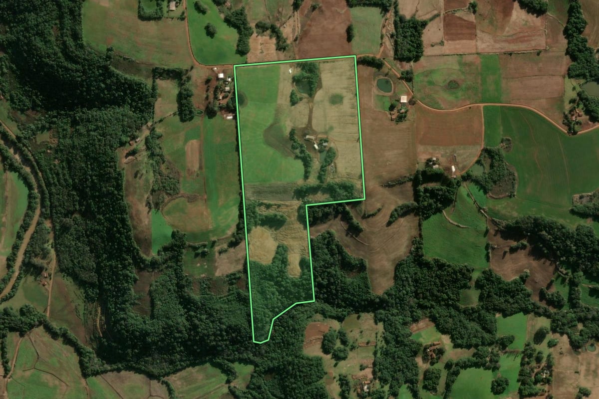 Imagem de satélite do imóvel rural em Alegria (RS), com o contorno declarado no CAR desenhado por cima.