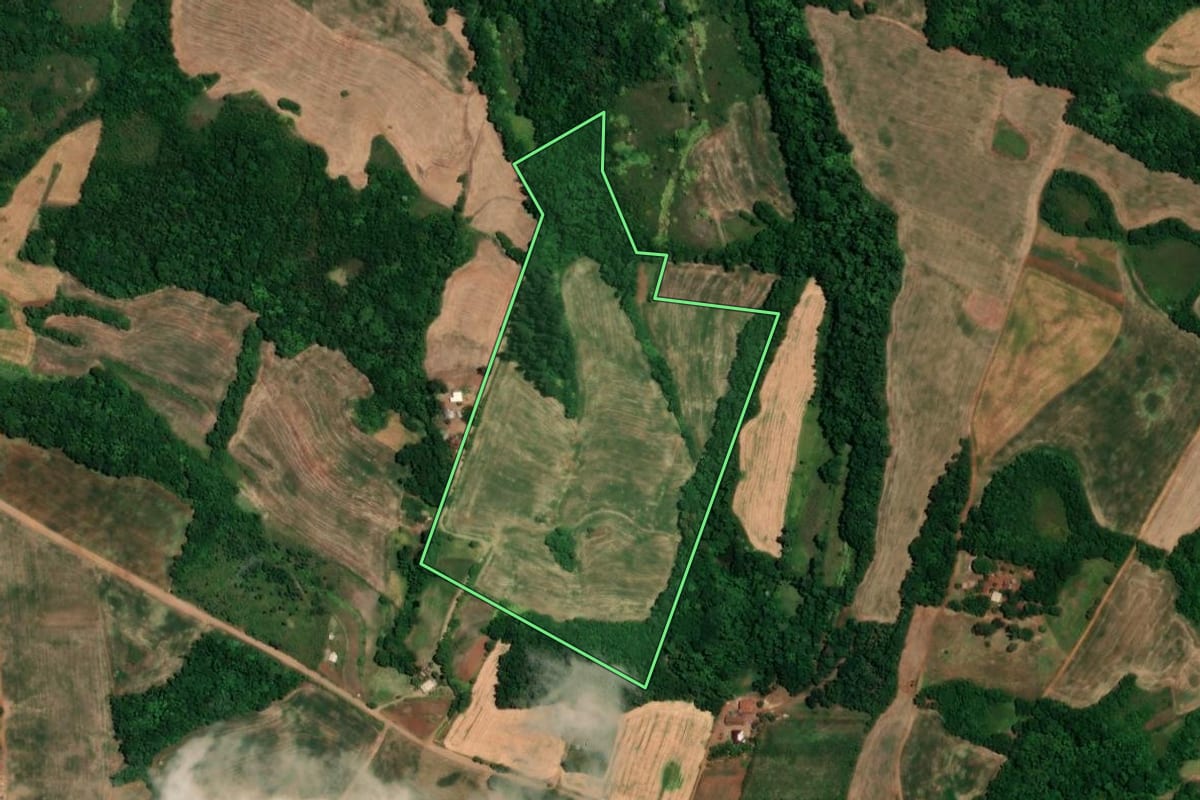 Imagem de satélite do imóvel rural em Alegria (RS), com o contorno declarado no CAR desenhado por cima.