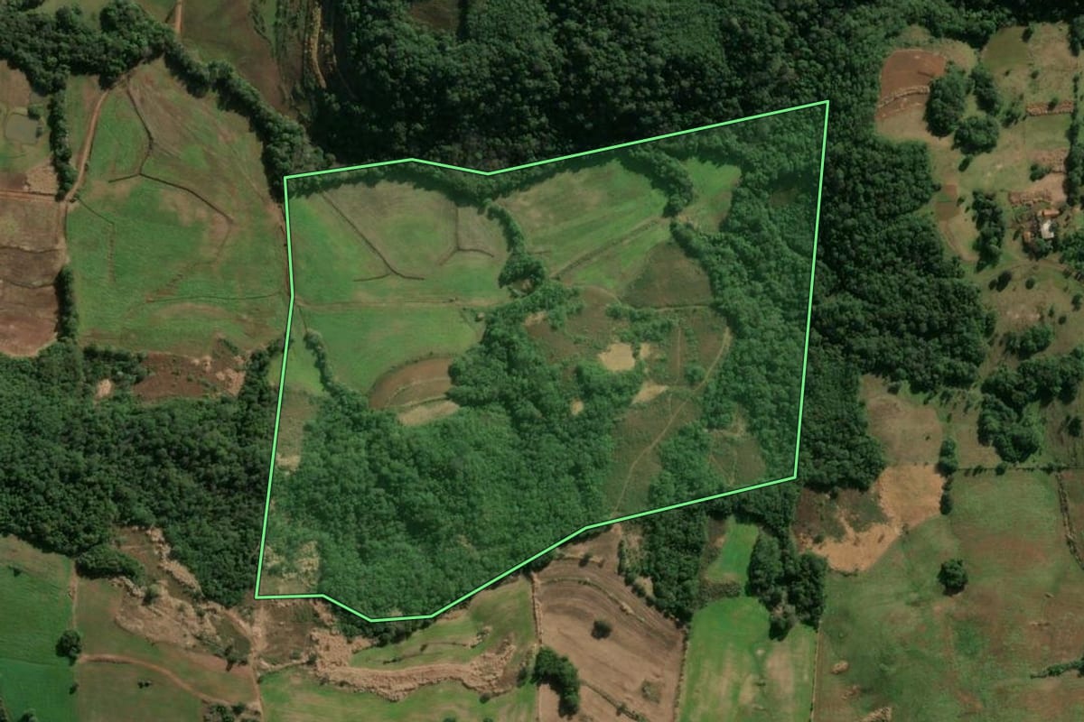 Imagem de satélite do imóvel rural em Alegria (RS), com o contorno declarado no CAR desenhado por cima.