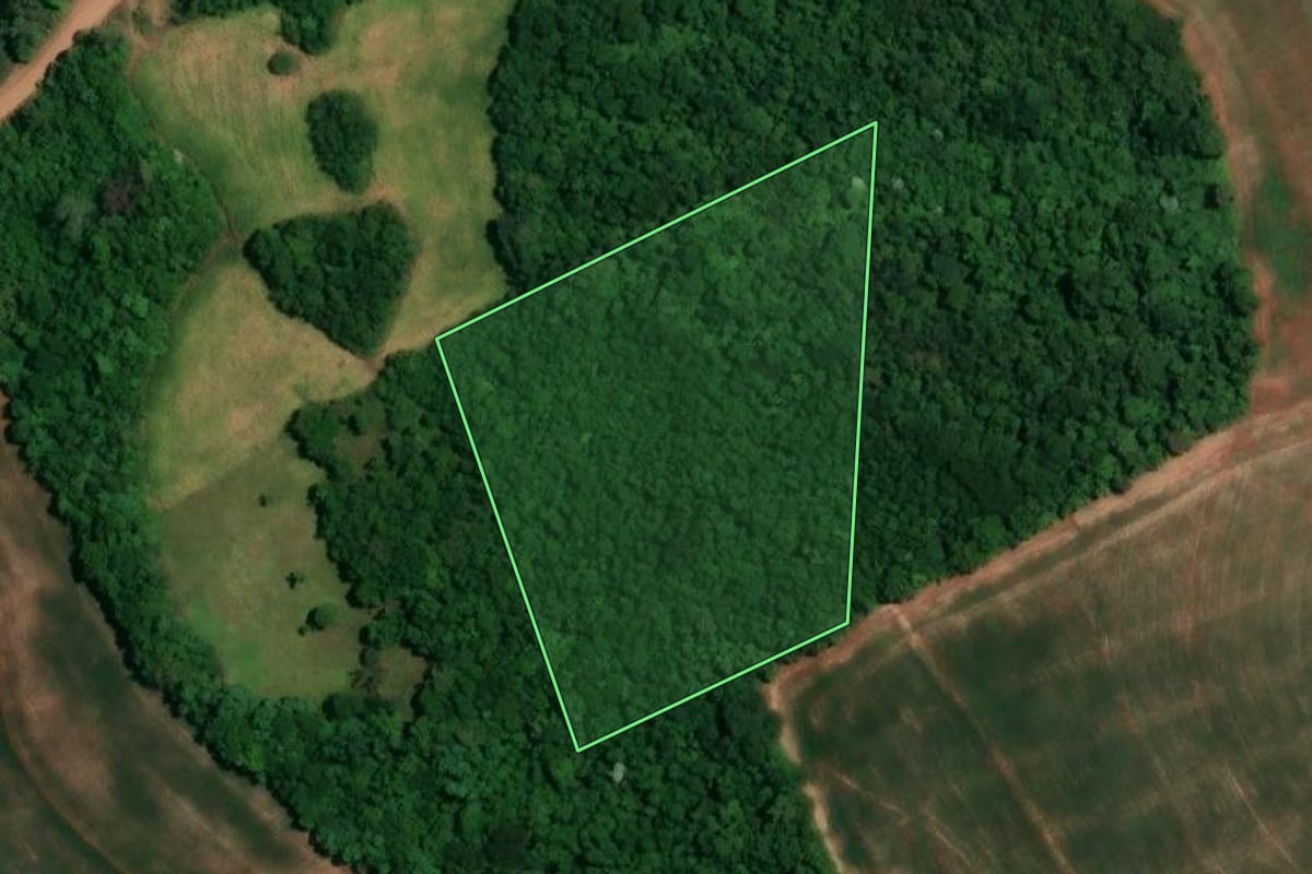 Imagem de satélite do imóvel rural em Alegria (RS), com o contorno declarado no CAR desenhado por cima.