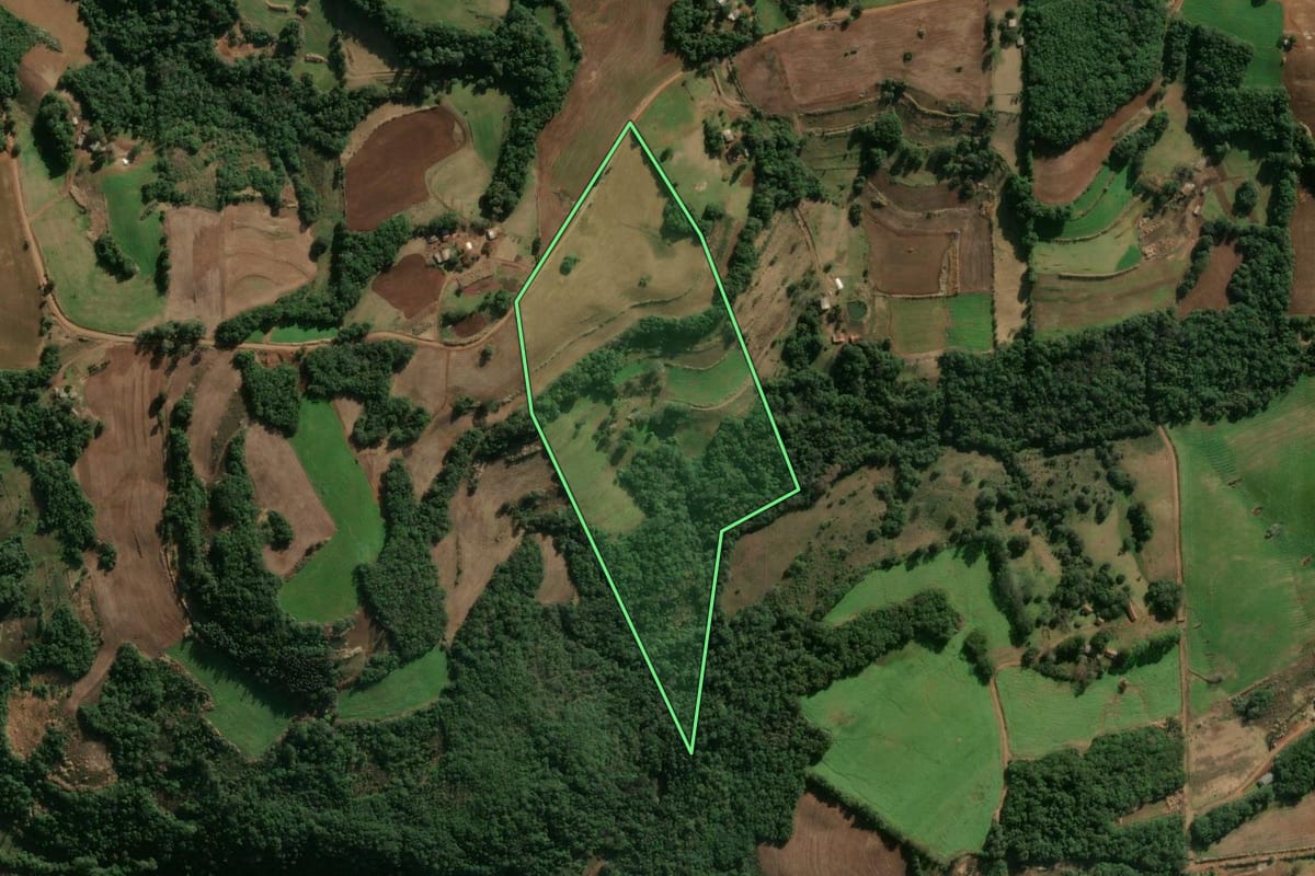 Imagem de satélite do imóvel rural em Alegria (RS), com o contorno declarado no CAR desenhado por cima.