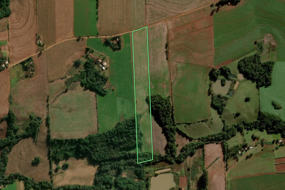 Imagem de satélite do imóvel rural em Alegria (RS), com o contorno declarado no CAR desenhado por cima.