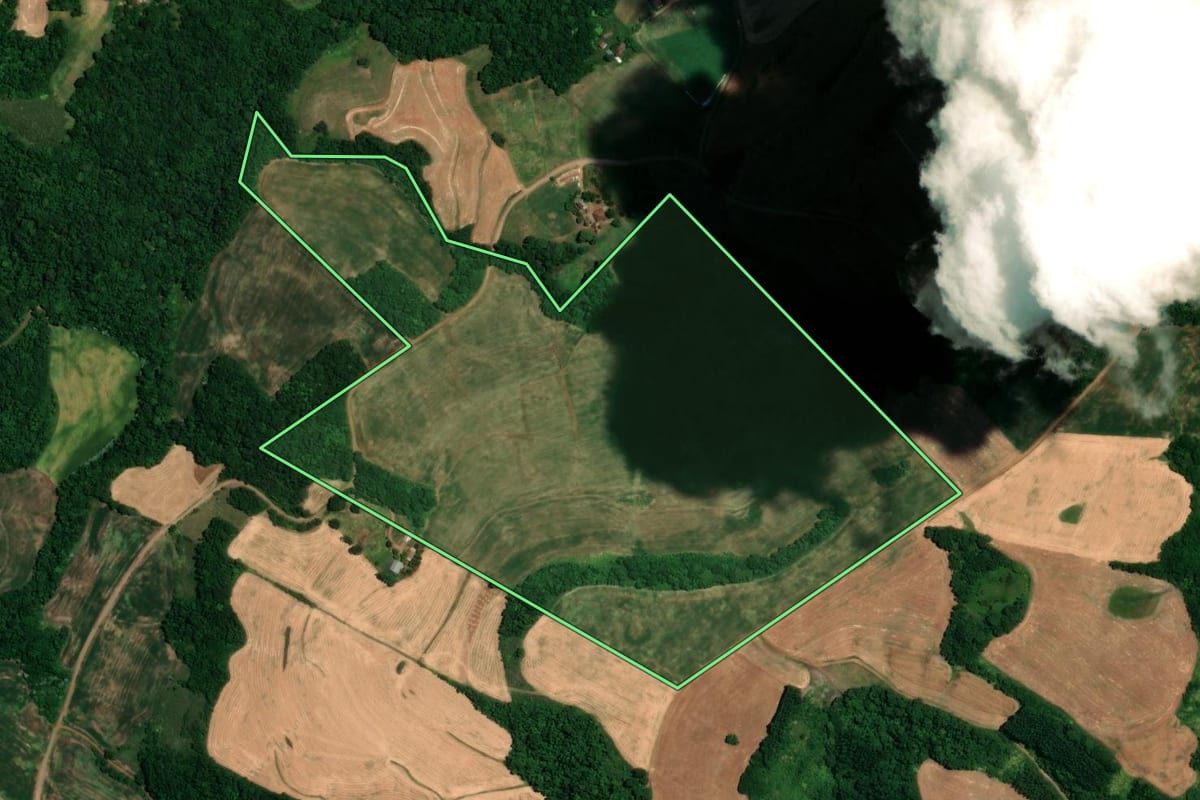 Imagem de satélite do imóvel rural em Alegria (RS), com o contorno declarado no CAR desenhado por cima.