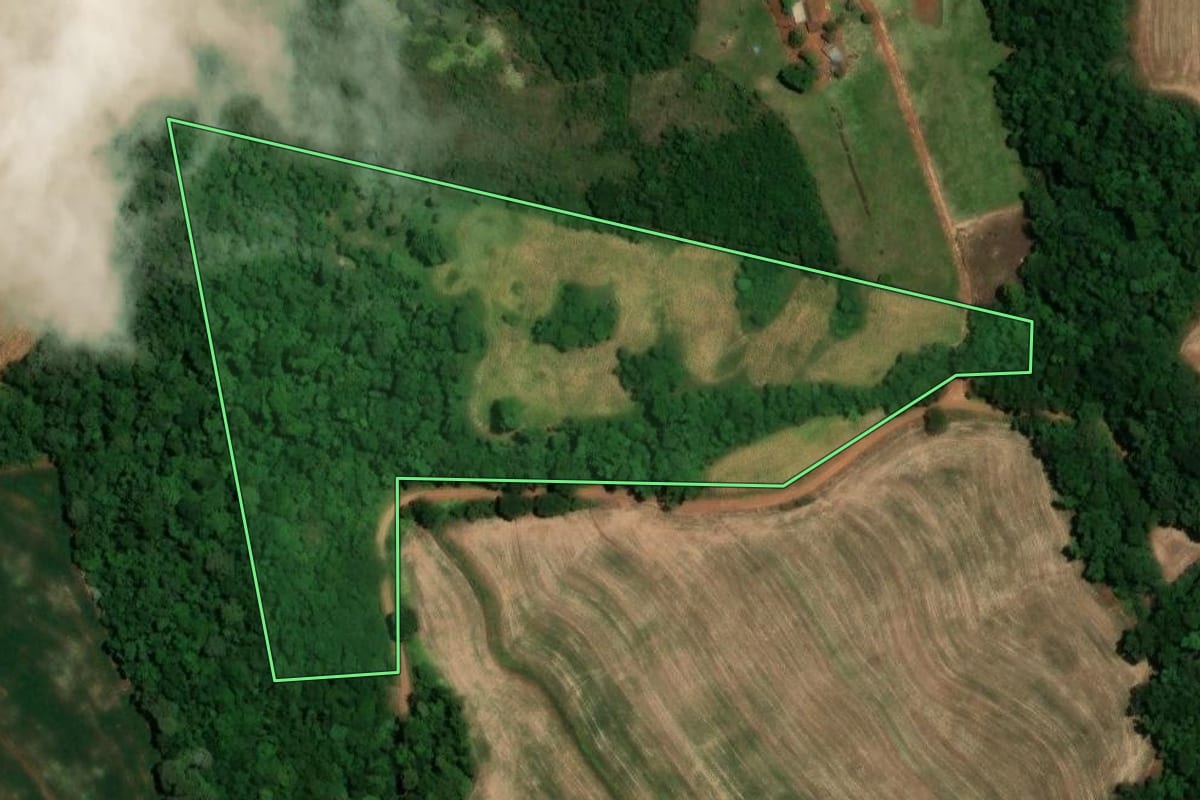 Imagem de satélite do imóvel rural em Alegria (RS), com o contorno declarado no CAR desenhado por cima.