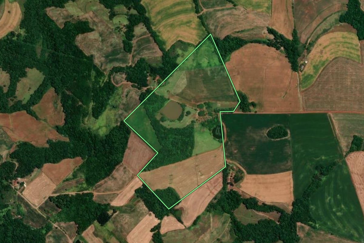 Imagem de satélite do imóvel rural em Alegria (RS), com o contorno declarado no CAR desenhado por cima.