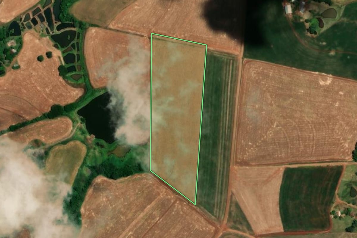 Imagem de satélite do imóvel rural em Alegria (RS), com o contorno declarado no CAR desenhado por cima.