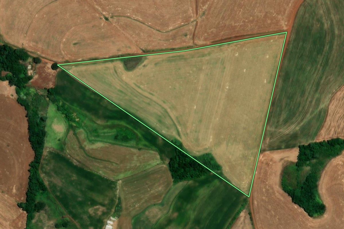 Imagem de satélite do imóvel rural em Alegria (RS), com o contorno declarado no CAR desenhado por cima.