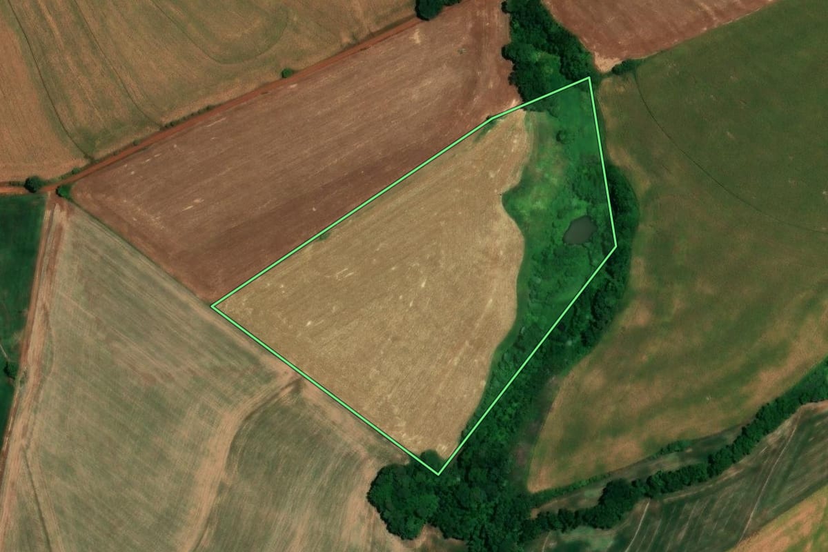 Imagem de satélite do imóvel rural em Alegria (RS), com o contorno declarado no CAR desenhado por cima.
