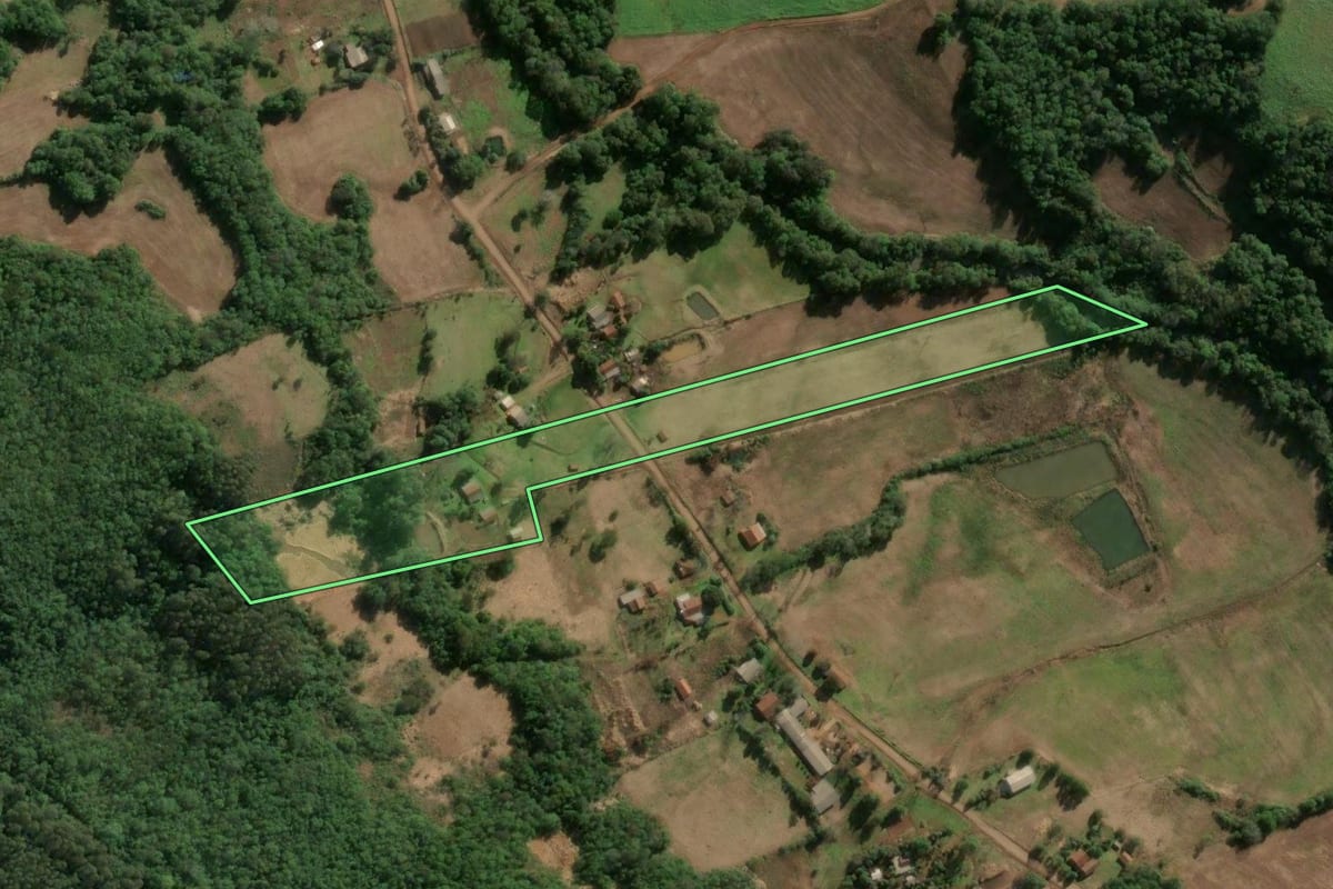 Imagem de satélite do imóvel rural em Alegria (RS), com o contorno declarado no CAR desenhado por cima.