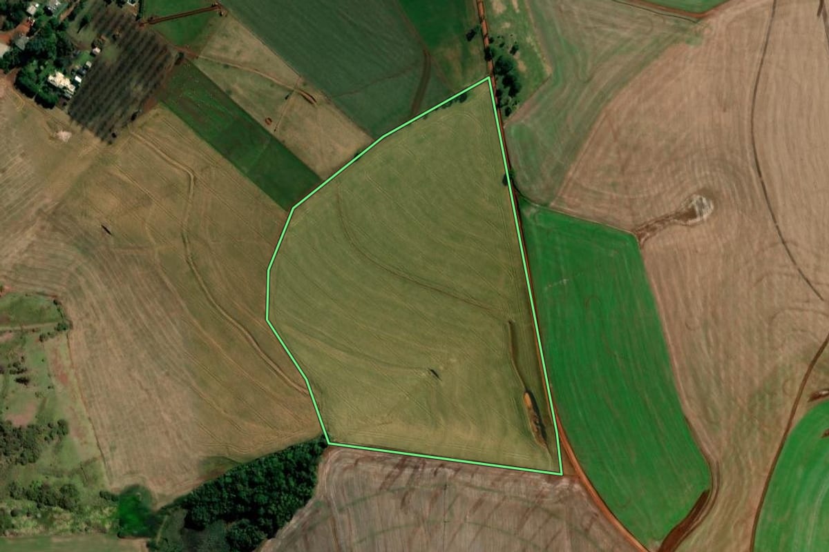 Imagem de satélite do imóvel rural em Alegria (RS), com o contorno declarado no CAR desenhado por cima.