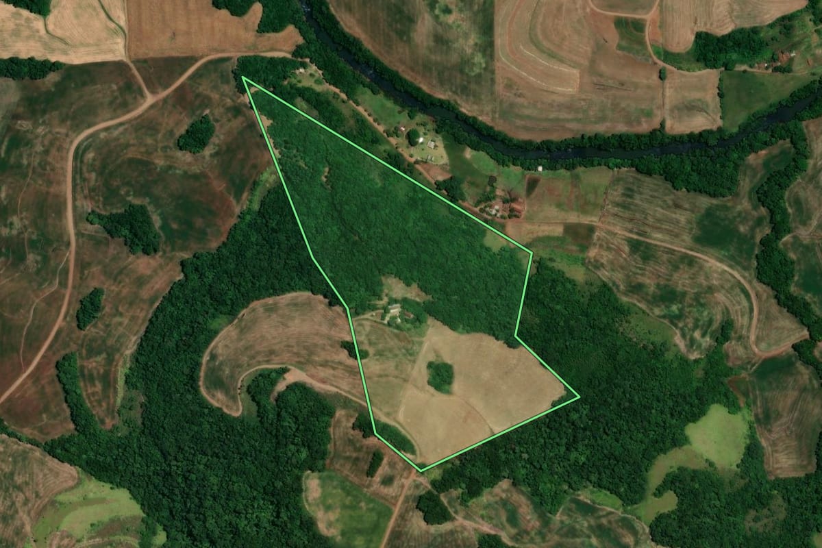 Imagem de satélite do imóvel rural em Alegria (RS), com o contorno declarado no CAR desenhado por cima.