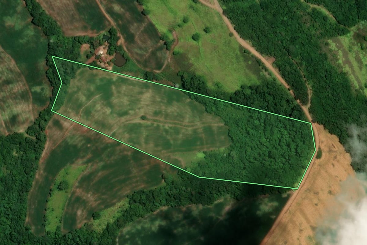 Imagem de satélite do imóvel rural em Alegria (RS), com o contorno declarado no CAR desenhado por cima.