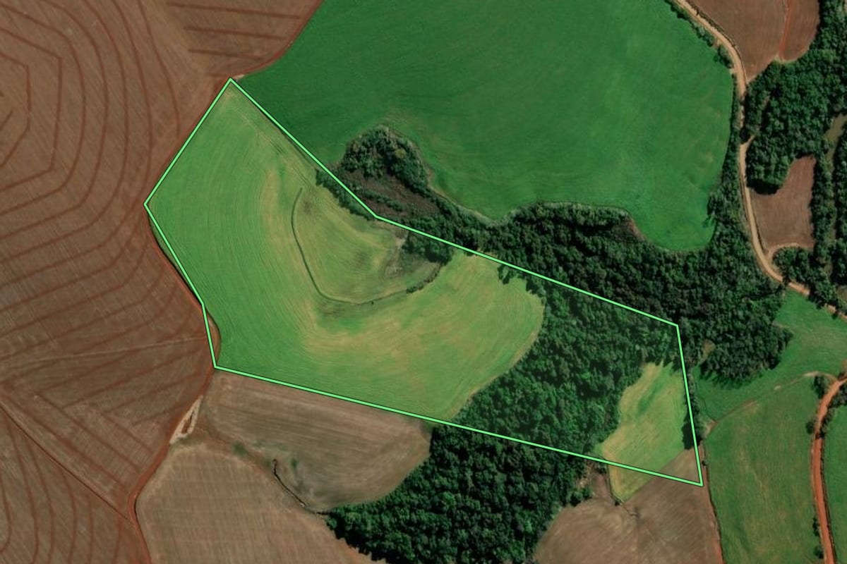 Imagem de satélite do imóvel rural em Alegria (RS), com o contorno declarado no CAR desenhado por cima.