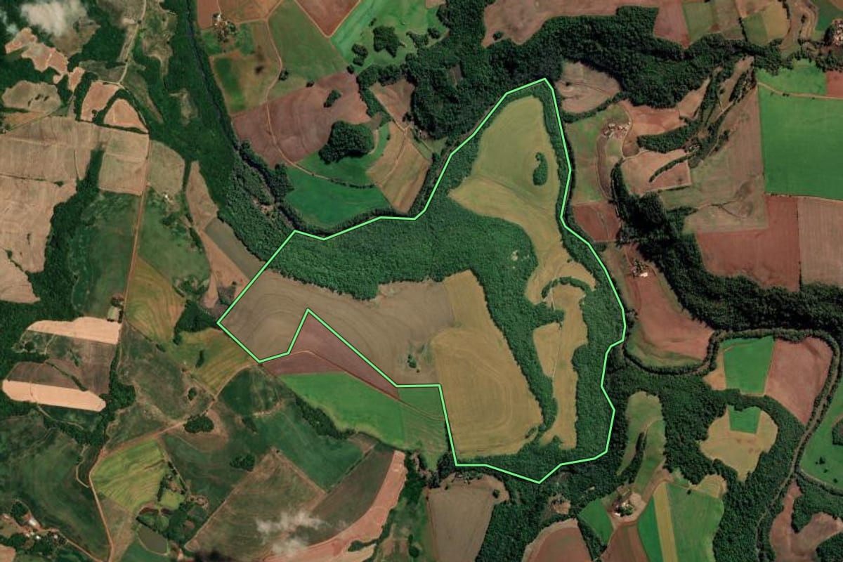 Imagem de satélite do imóvel rural em Alegria (RS), com o contorno declarado no CAR desenhado por cima.