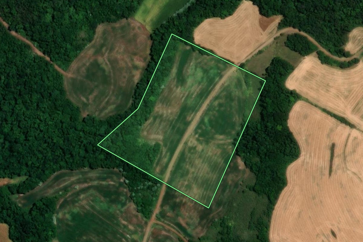 Imagem de satélite do imóvel rural em Alegria (RS), com o contorno declarado no CAR desenhado por cima.