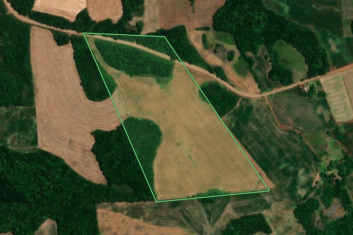Imagem de satélite do imóvel rural em Alegria (RS), com o contorno declarado no CAR desenhado por cima.