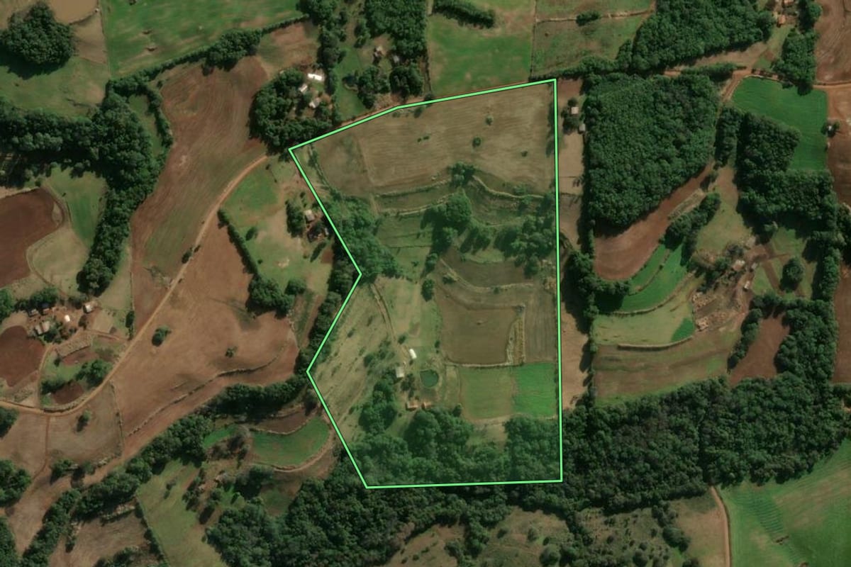 Imagem de satélite do imóvel rural em Alegria (RS), com o contorno declarado no CAR desenhado por cima.