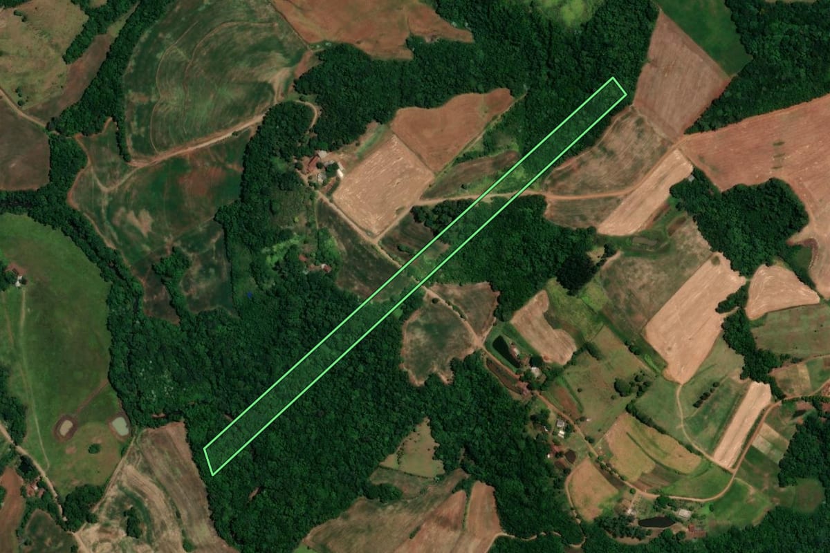 Imagem de satélite do imóvel rural em Alegria (RS), com o contorno declarado no CAR desenhado por cima.