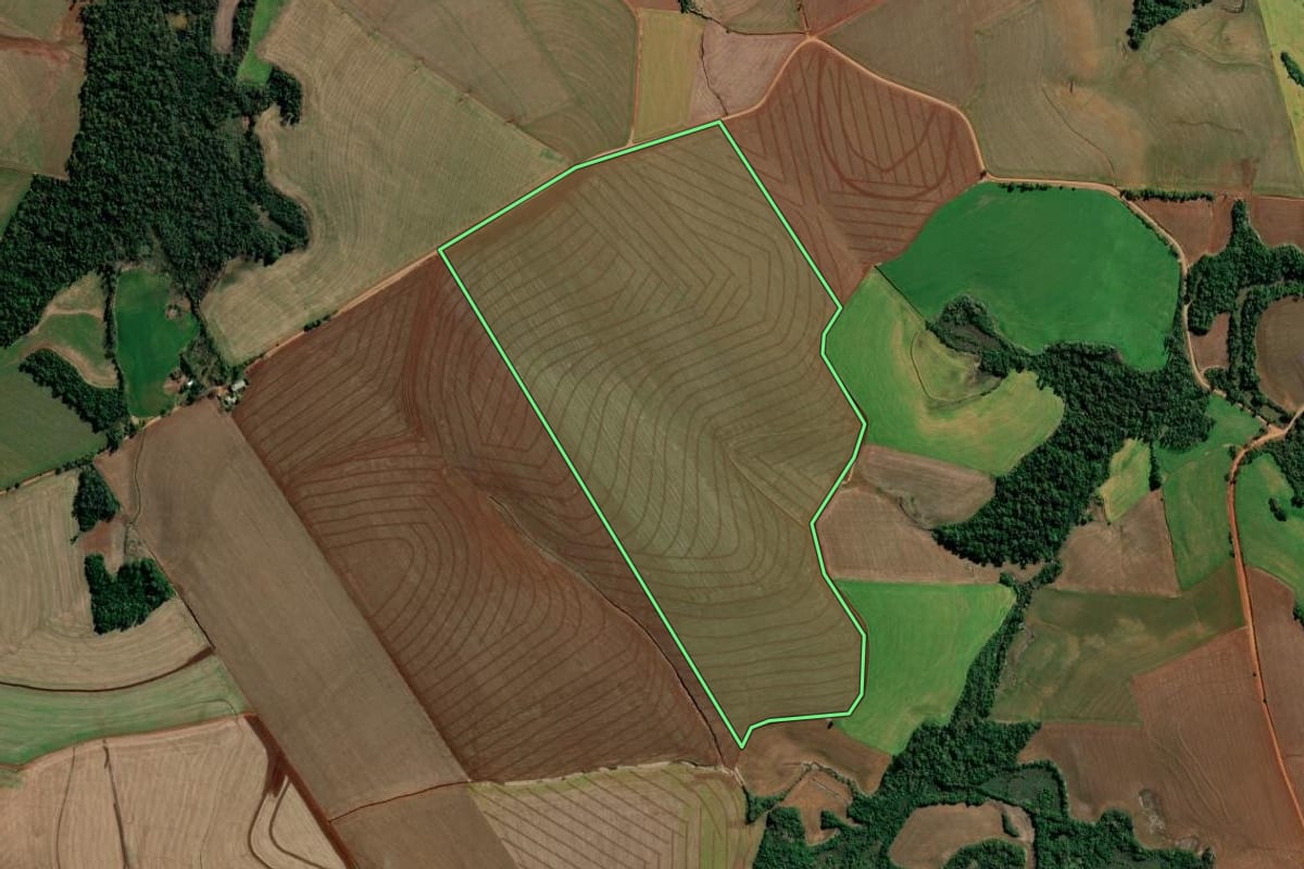 Imagem de satélite do imóvel rural em Alegria (RS), com o contorno declarado no CAR desenhado por cima.